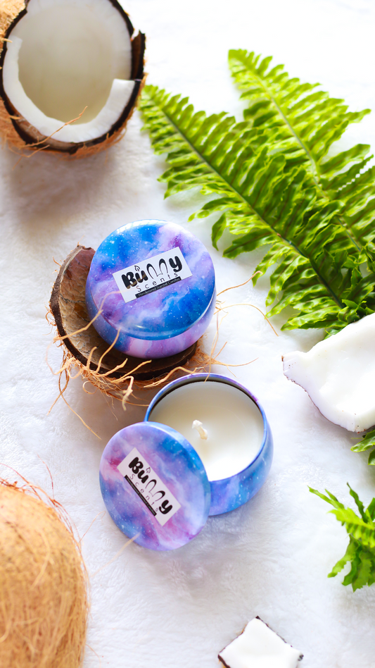 Blueberry Cheesecake